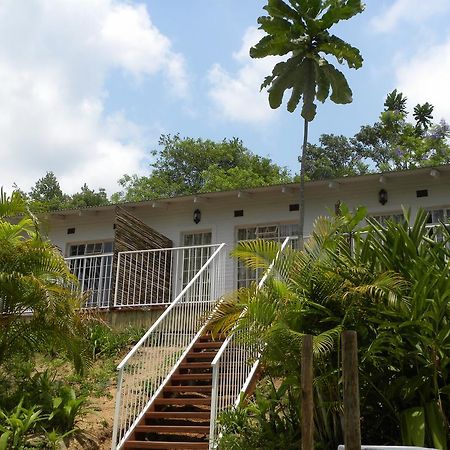 Bush Baby Glen Villa Hazyview Rom bilde