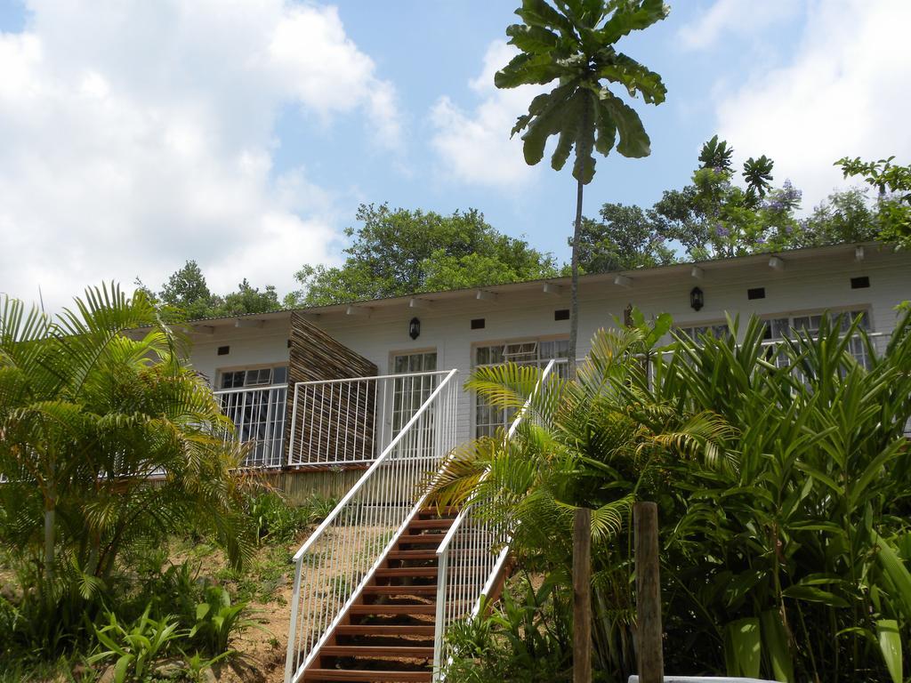 Bush Baby Glen Villa Hazyview Rom bilde
