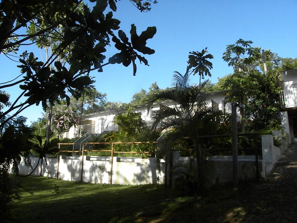 Bush Baby Glen Villa Hazyview Rom bilde